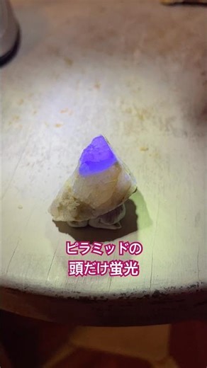 鉱物採集！ピラミッド型蛍石 頭だけ蛍光してます#shorts #鉱物採集 #fluorite