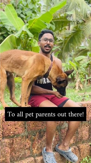 To all dog parents👀#shorts