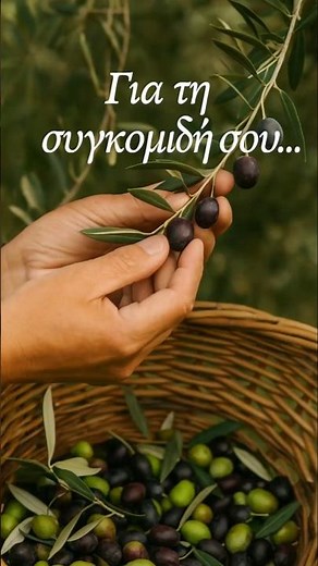 🫒 ΣΥΓΚΟΜΙΔΗ ΕΛΙΑΣ | ΤΙ ΝΑ ΕΠΙΛΕΞΩ ; | ΞΕΚΙΝΑΜΕ ;⚙️#olives #μαθαίνοντασ_για_την_ελιά #συγκομιδή#ελιά