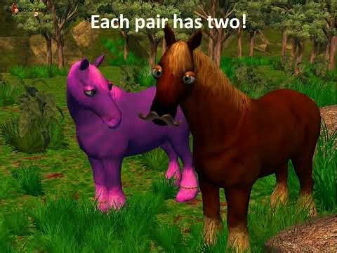ప్రాథమిక గణితం - What is multiplication - Multiplication Part 1 - Telugu