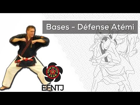 Nihon Taï Jitsu - Techniques de base, défense par Atemi