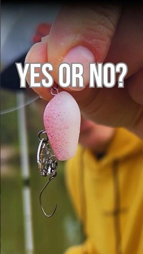 Crazy Lure Topwater Fishing For Rainbow Trout #topwaterstrike