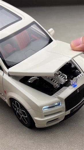 s.b model toy on TikTok