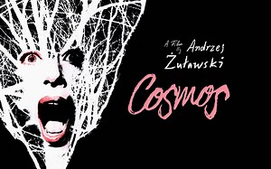 黑暗宇宙 Cosmos (2015)