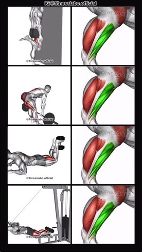Exercises for Bigger Hamstrings ① One Leg Standing Leg Curl ② Stiff Leg Deadlift ③ Dumbbell Leg Curl