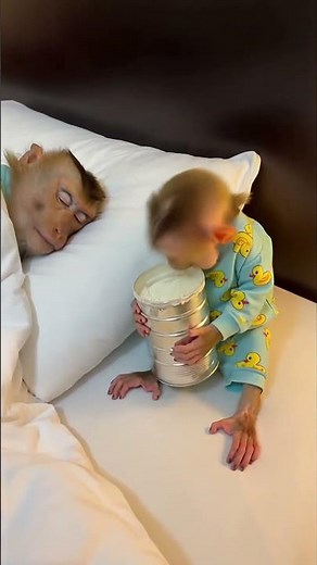 Milk Powder EXPLOSION! 💥🍼