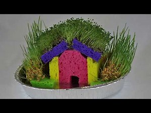 STEM Sprout House