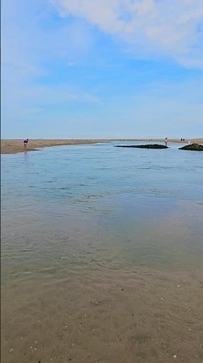The Unexpected Beauty of Dutch Beaches