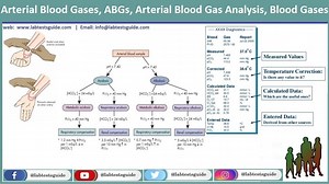 ABGs | Lab Tests Guide