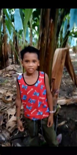 Sila kaon dahon kami kaon bato | AGF Tris'terr blog