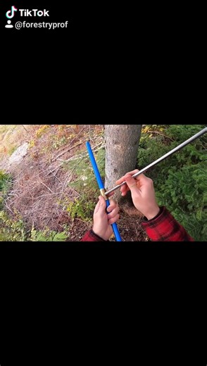 Using the Increment Borer to Retrieve Sample of Tree Growth Rings