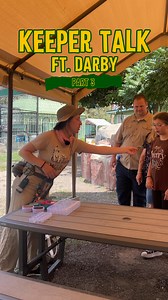 Just another reason tigers are incredible animals! Their fur pattern goes beyond the hair, so even if you shaved a tiger, their unique stripes would still show on their skin 🐅✨ #tiger #tigerfacts #bengaltiger #siberiantiger #animalfacts #zoo #zookeeper #animalrescue #spokane | Cat Tales Wildlife