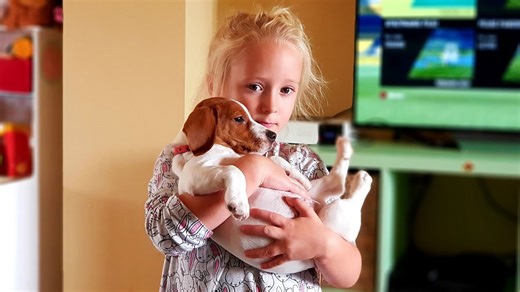 Reunited and It Feels So Good—Cute Dogs' Loving Reunion with Owners