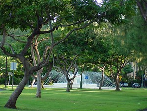 Kapiolani Park in Honolulu, USA