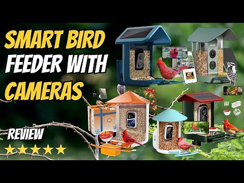 Top 6 Smart Bird Feeders with Camera 2026 | Solar Powered AI Bird Feeders for Outdoor (2K & 4K )