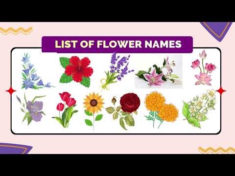 20+ Important Flower Names You Should Know! 🌸🌼Learn Flower Names Easily #flowernames