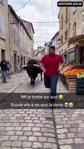 Quand un gros se fait courser par un bœuf en pleine rue 😭🐂 On pensait juste se balader… et là, un bœuf ENORME décide de charger mon pote 😭 Et le pire ? À la fin, y’a un gars qui dit : “Bah là… c’est lui qui va se faire bouffer” 🤣
