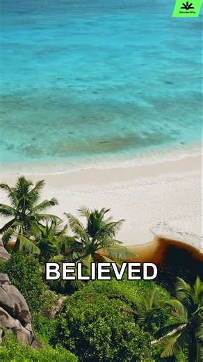 The Underwater Tree Myth 🌊🌱 | Born from a Real See