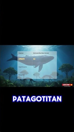 Blue Whale vs Biggest Dinosaur It's No Cont