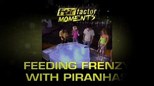 Fear Factor Poll: What's the worst part of this challenge? A. Transferring pig kidneys using only your mouth B. Doing this in a tank full of flesh-eating piranhas Tell us below! | Fear Factor