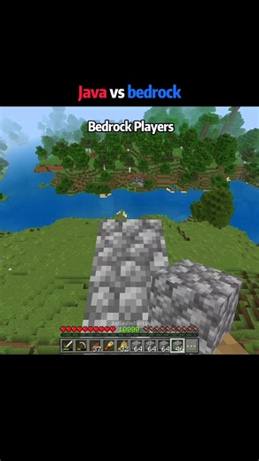 Minecraft java player vs bedrock player moments