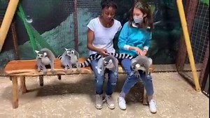 Such a magical experience! Video taken by Keeper Alieya from the San Antonio Aquarium | San Antonio Aquarium