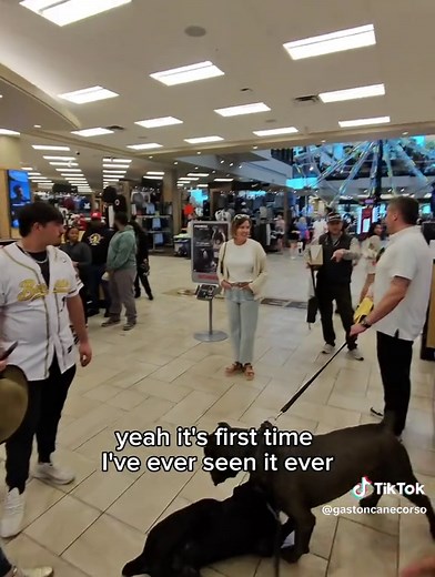 Cane Corso: The Guardian Puppy