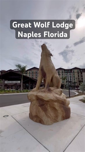 Great Wolf Lodge in Naples Florida is the best family friendly hotel in Florida #florida #familyfun