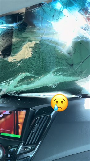 Vídeo de Machado Exclusive (@viimachado09) relacionado a Sea Turtle