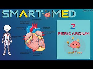 Pericardium (Anatomy of the pericardium , pericardial sinuses)