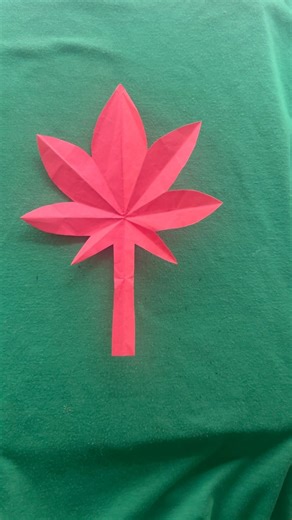 Top 5 Paper Cutting Designs That Will Wow You!