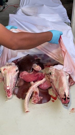 Goat Barbacoa Cooked Inside an underground pit!! 🐐🔥 #barbacoa #oaxacan #losangeles