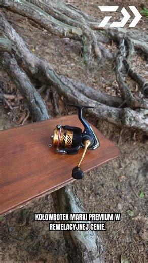 Daiwa Crossfire LT 🔥🔥 #daiwa #Crossfire #lt #spinning #catchandrelease Wedkarski.com Gdynia Wedkarski.com Gdańsk Wedkarski.com Toruń Centrum Wędkarstwa Wedkarski.com Poznań Centrum Wędkarstwa Wedkarski.com Bydgoszcz Centrum Wędkarstwa Wedkarski.com Warszawa Daiwa Polska | Wedkarski.com - internetowy sklep wędkarski