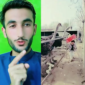 302K views · 2.4K reactions | wow so cute women . | Muhammad Shahzeb Official | Facebook