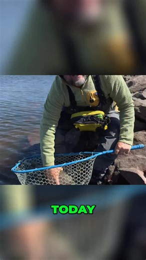 Fly Fish Food | Learn which indicators to use for Stillwater success! Fly fishing tips from Fly Fish Food to help you catch more fish on the lake….... | Instagram