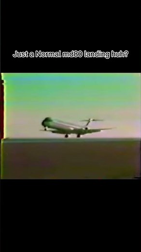 Just a Normal md-80 landing… right? #aviation #landing
