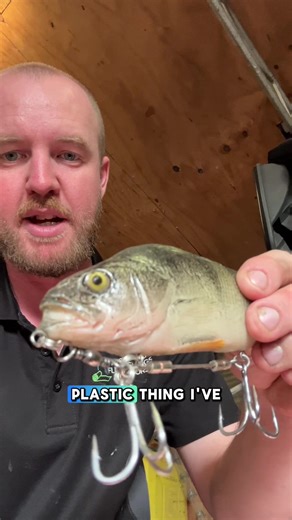 Top Soft Plastic Lures for Murray Cod Fishing