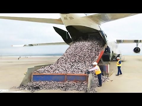 They Dropped Thousands of Mice Over Guam, 2 Years Later, Everyone Was Shocked