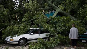 Video: What to do if a tree falls on your house