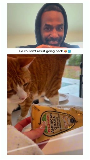 He couldn't resist going back 😂🤣