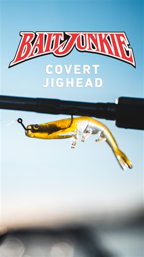 4K views · 44 reactions | Hidden From View | Bait Junkie COVERT Jig...
