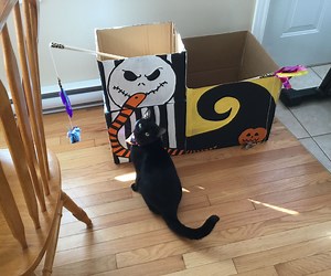 DIY Nightmare Before Christmas Cat House