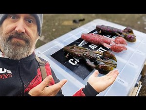 Master These Creature Bait Rigs and Catch More Fish