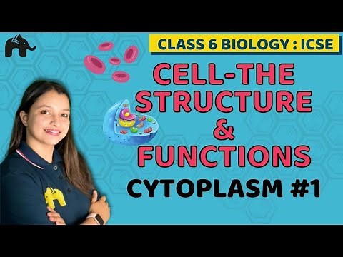 Cell-The structure & Functions Class 6 ICSE Biology Chapter 3 | Selina | Cytoplasm #1