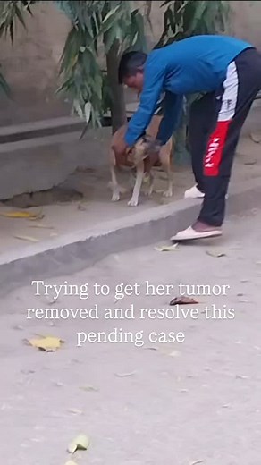One month is all we need to resolve our pending cases and release the dogs. Post that, it will be only us and our resident dogs till we move to the sanctuary.. | Earthlings Trust