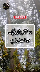 Hadith in Urdu ✍️🥀 || Reels Hadees 🌹|| Best Islamic Hadith Of Prophet Muhammad PBUH 🌷 || Hadees Sharif in Urdu 💞 || Hadees Nabvi || Asaan Hadees || Hadees Mubarak || Collection of Urdu Hadith Reference Hadith: . . . . #Hadith #hadees #hadis #hadithoftheday #hadithoftheprophet #HadithofProphetMuhammad #hadeesoftheday #hadeessharif #hadeesepaak #HadeeseNabvi #hadeesinurdu #hadisnajafi #hadisnabi #hadisbukhari #reelschallenge #reelkarofeelkaro #reelsfbシ #reelsfypシ #reelsfacebook #reelsviralfb #