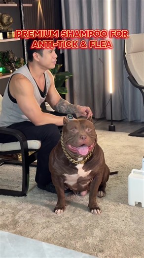 Baby Powder Scent Anti-Tick & Flea Dog Shampoo