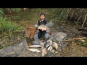 Technique of anesthesia for fish, Highland boy Khai catches fish using ancient methods - sell fish