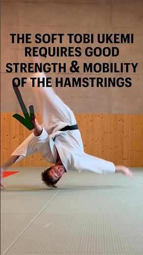 Aikido Ukemi Practice - How To Improve Hamstring Mobility & Strength(Soft Breakfall) #aikido #ukemi