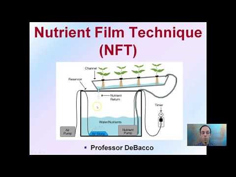 Nutrient Film Technique (NFT)
